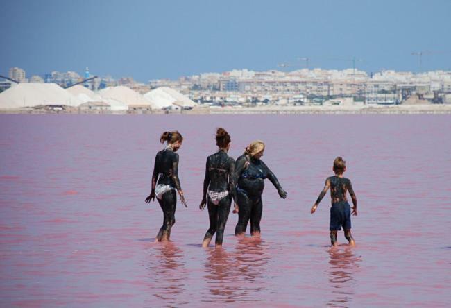 Torrevieja Apartment エクステリア 写真