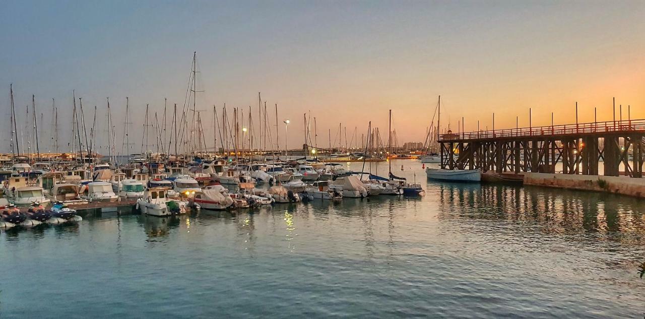 Torrevieja Apartment エクステリア 写真